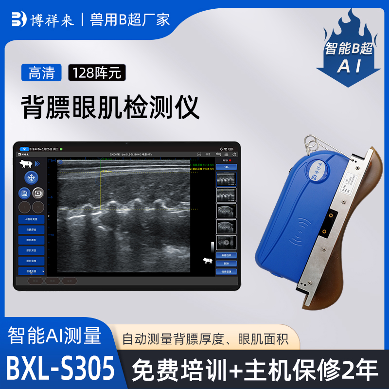 智能猪牛羊背膘眼肌测定仪BXL-S305