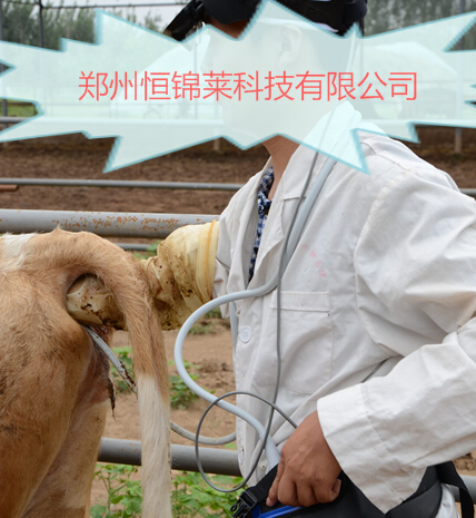 进口牛用B超分析人工喂养和机械喂养
