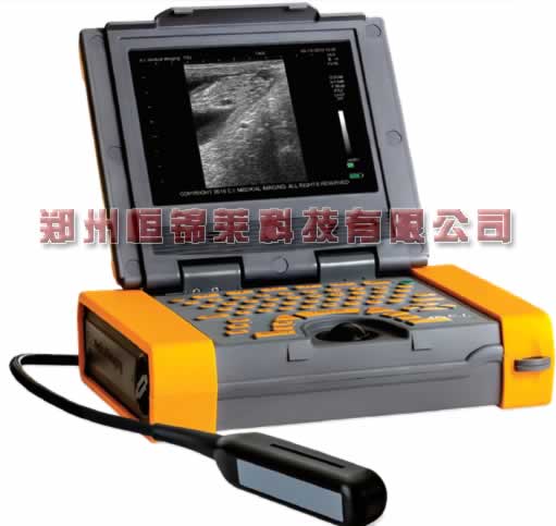 进口羊用B超