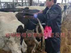 山东淄博培训牛用B超机使用方法