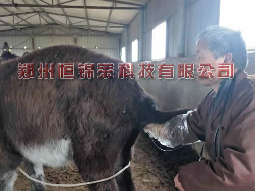 便携式驴用B超机