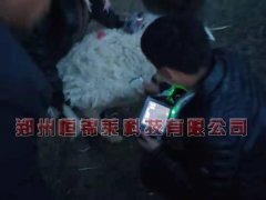 牛用B超技术老师到陕西牛场实地培训