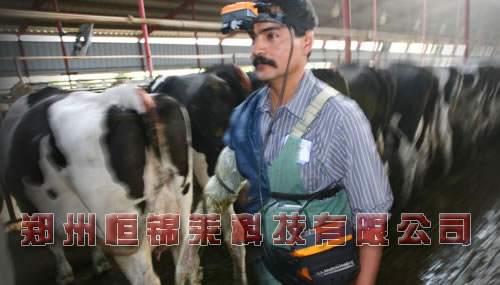 高清进口牛用B超机推荐