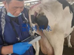 博祥来兽用B超技术老师去保定定州奶牛场培训