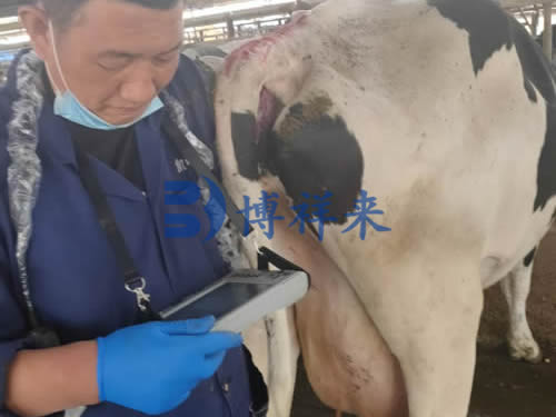 博祥来技术人员培训奶牛场工作人员