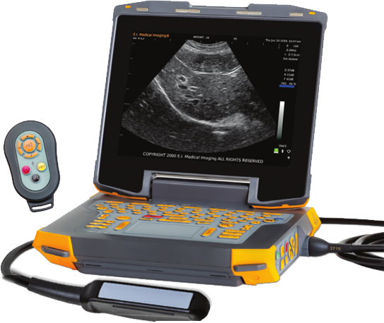 进口牛用B超机检测难产母牛