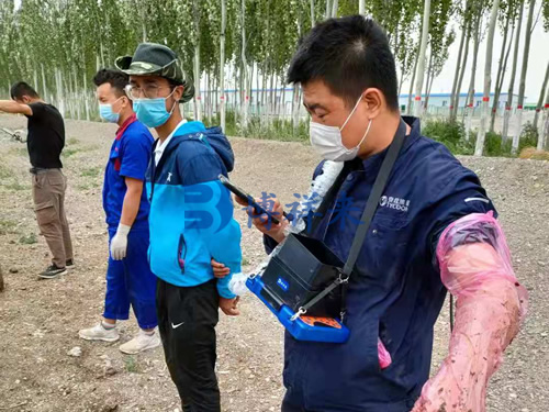 牛用B超机培训使用方法