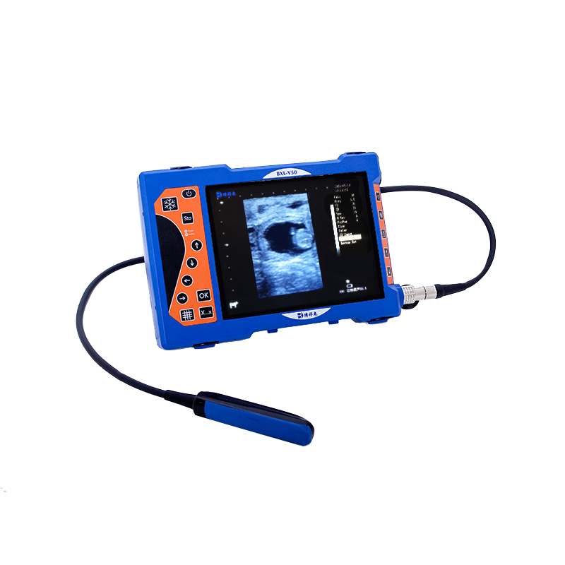 高清马用B超测孕仪