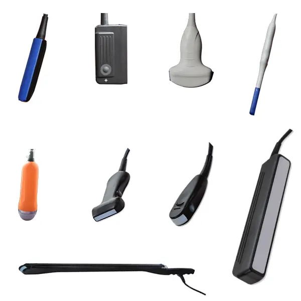 高清驴用B超机探头