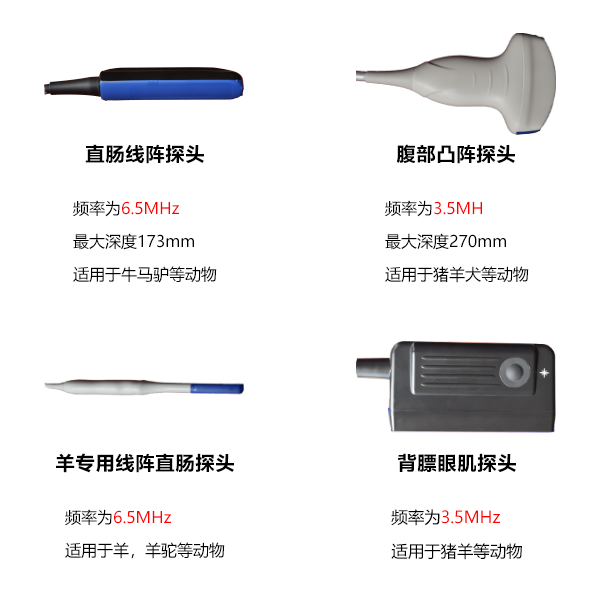 高清兽用B超仪探头类型
