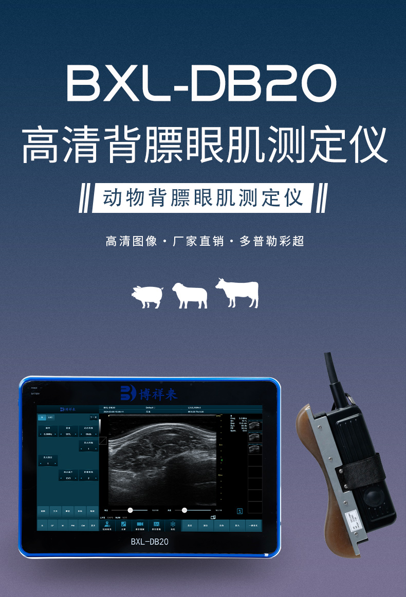 背标眼肌测定仪