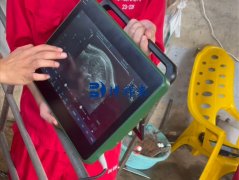 博祥来新背膘眼肌测定仪到广西农垦养猪场测背