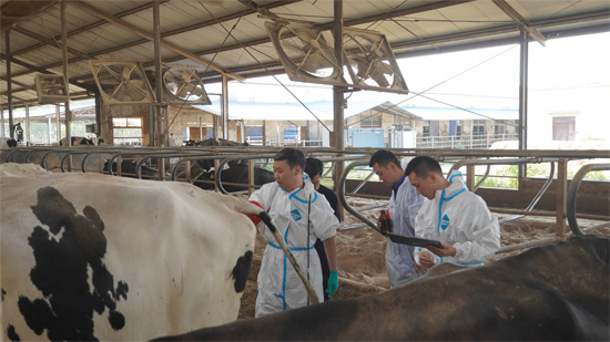 高清多普勒彩超机