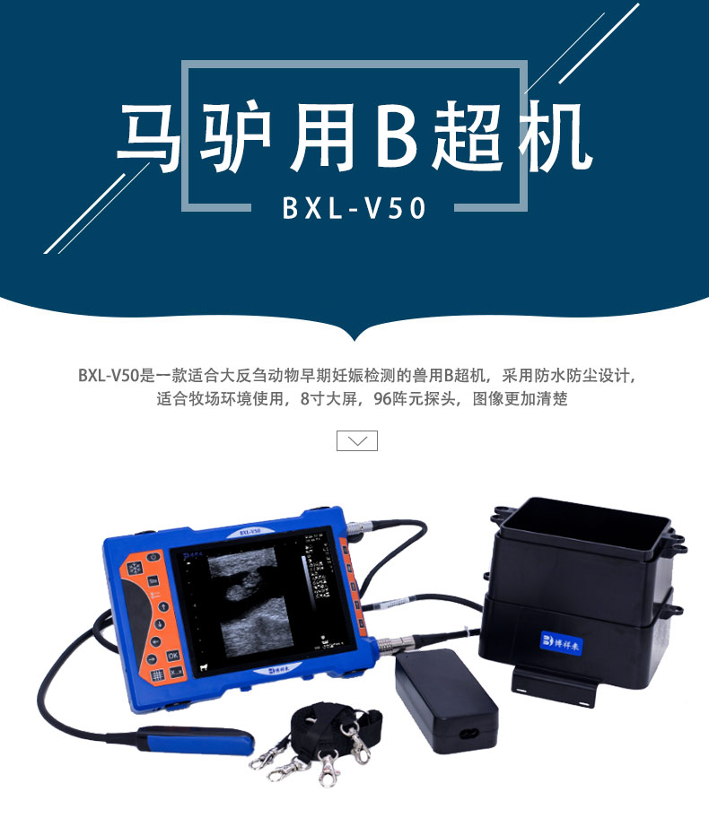 高清驴用B超机