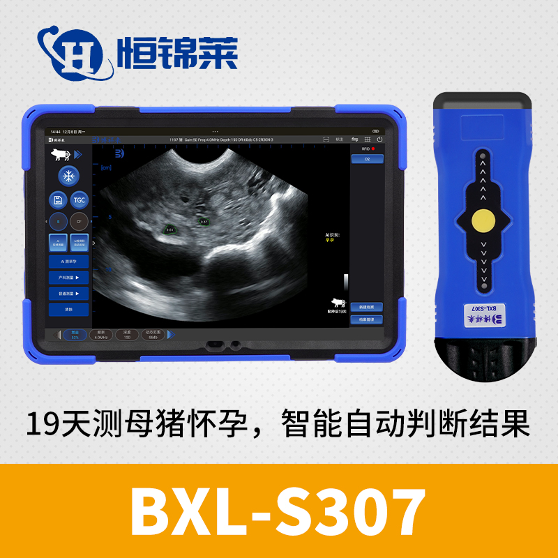 BXL-S307 智能AI猪用B超机19天测孕