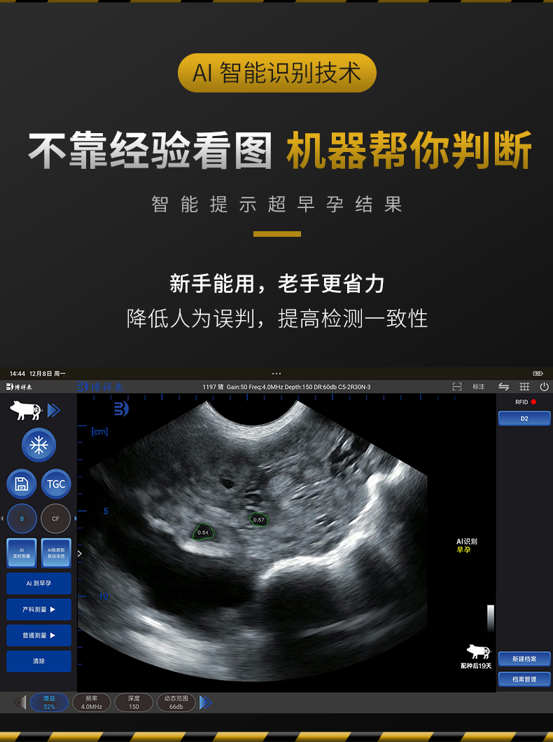 高清母猪智能测孕仪