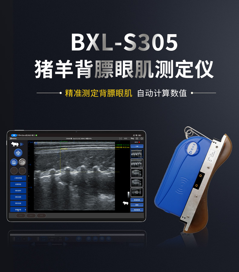 BXL-S305猪牛羊背膘眼肌测定仪细节