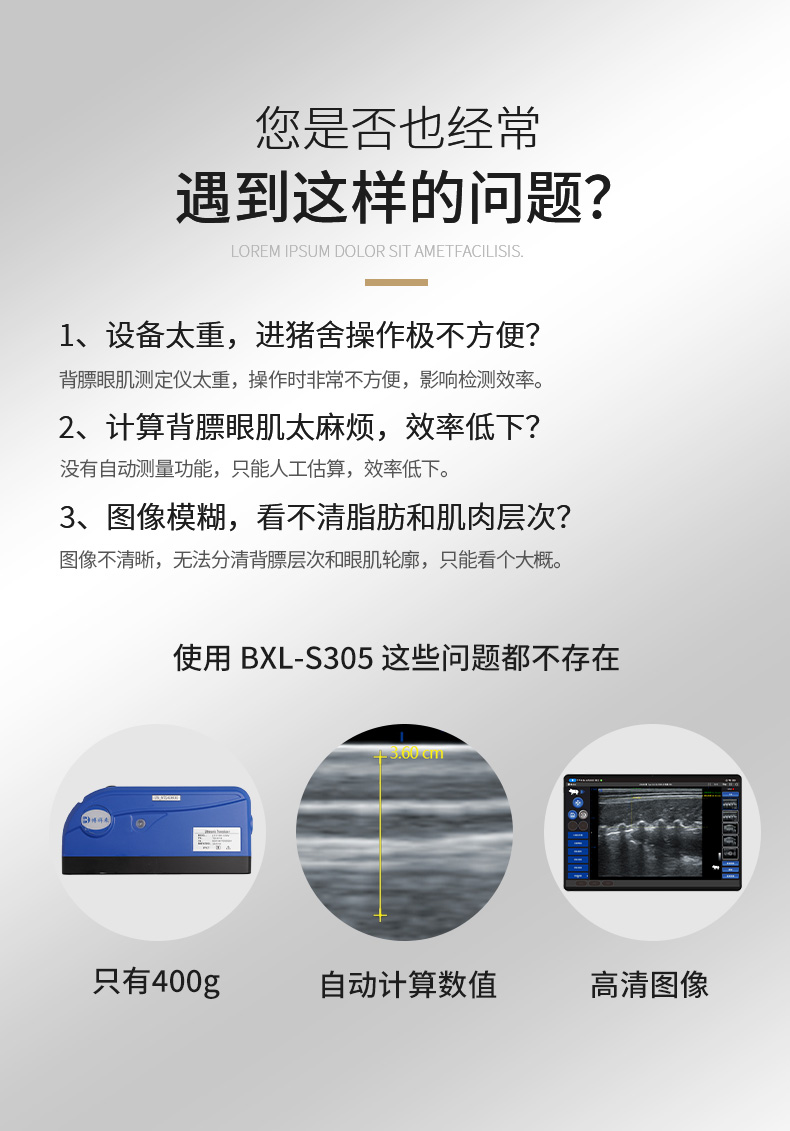 BXL-S305猪牛羊背膘眼肌测定仪细节