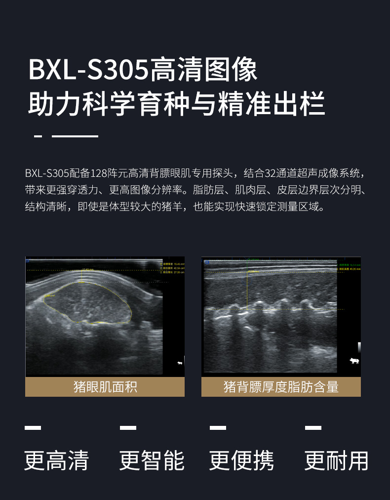 BXL-S305猪牛羊背膘眼肌测定仪细节
