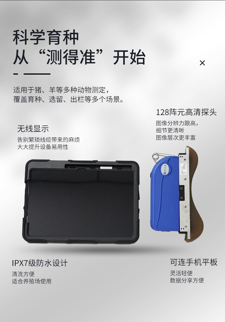 BXL-S305猪牛羊背膘眼肌测定仪细节
