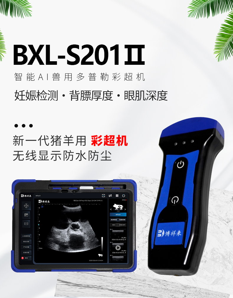 高清猪羊背膘眼肌测定仪