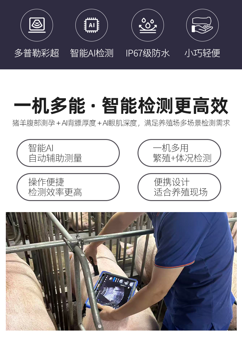 高清猪背膘眼肌测定仪