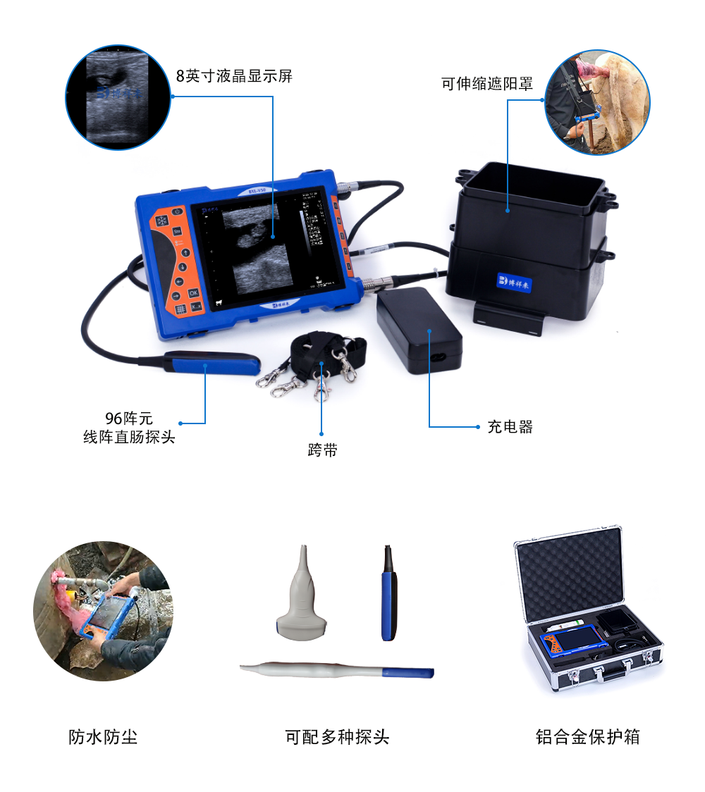 牛用B超机